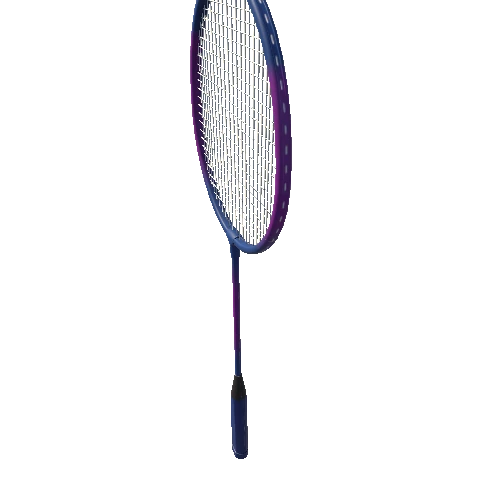 Badminton Racket Triangulate (69)